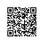 813-SS-010-30-004101 QRCode