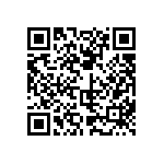 813-SS-018-30-022101 QRCode