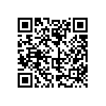 817-22-018-30-001101 QRCode