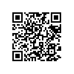 823-22-038-10-004101 QRCode