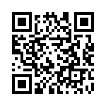 85106T2041P50 QRCode