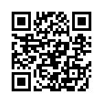 91-533724-19P QRCode