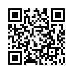 913A704B QRCode