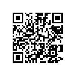 924217-28-13-I QRCode