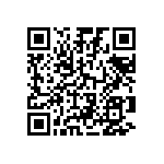 924517-28-04-I QRCode