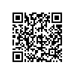 9510-G213-W4F1-Z0C2B1-15A QRCode