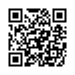 95105-424HLF QRCode