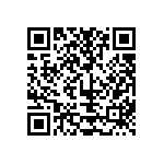 951462-2012309-AR-TP QRCode