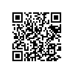 97-3106A24-22S-417 QRCode