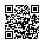 999-19-310-06 QRCode