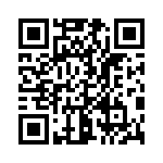 A30740504 QRCode