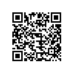 B32529C0153M289 QRCode