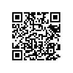 B32529C1333K000 QRCode