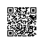 B32529C1393J289 QRCode