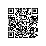 B32529E6333J289 QRCode