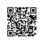 B32529E6333K289 QRCode