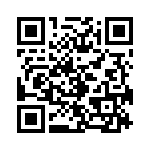 B32537B1334K QRCode