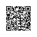 B32560J6153K189 QRCode