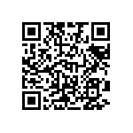 B32560J6153K289 QRCode