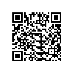 B32653A1333J000 QRCode