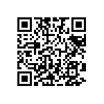 B32776E5256K000 QRCode