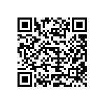 B39931B4062U810 QRCode