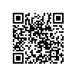 B41231B5229M000 QRCode