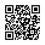 B41691A8687Q7 QRCode