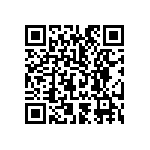 B57431V2472K062 QRCode