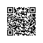 B65733A0630A027 QRCode