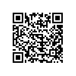 B65807J0250A041 QRCode