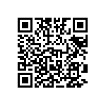 B65813J0160A041 QRCode