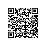 B65857A0400E038 QRCode