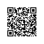 B88069X7291T702 QRCode