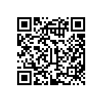 BCS-128-L-S-HE-028 QRCode