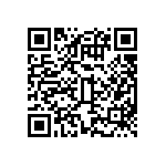 BCS-131-L-D-PE-053 QRCode