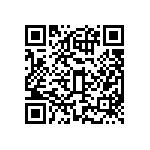 BCS-133-L-D-DE-065 QRCode