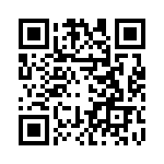 BFC233661333 QRCode