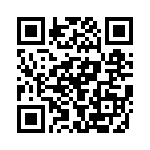 BFC233817333 QRCode