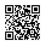 BFC233840333 QRCode