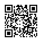 BFC233867333 QRCode