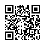 BFC233868132 QRCode