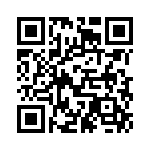 BFC233913333 QRCode