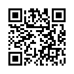 BFC236541333 QRCode