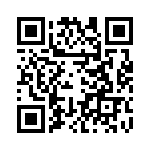 BFC236956333 QRCode