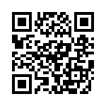 BFC238341913 QRCode