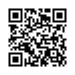 BFC238371333 QRCode