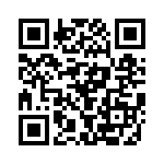 BFC247036333 QRCode