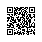 BKT-107-04-L-V QRCode