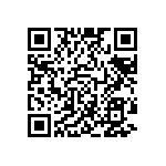 BKT-113-04-L-V-A-P-TR QRCode